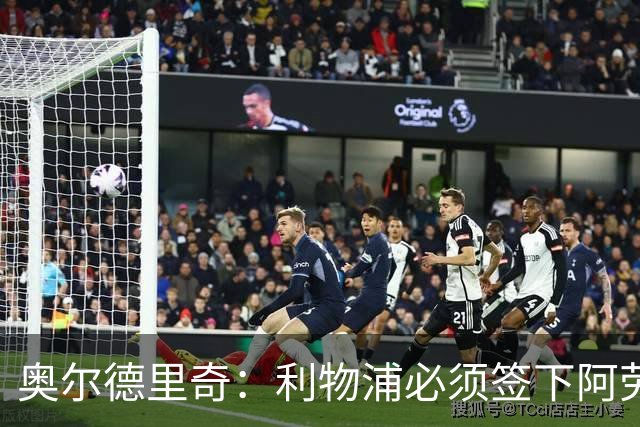 奥尔德里奇：利物浦必须签下阿劳霍