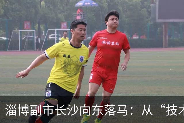 淄博副市长沙向东落马：从“技术型”干部到任上被查的警示